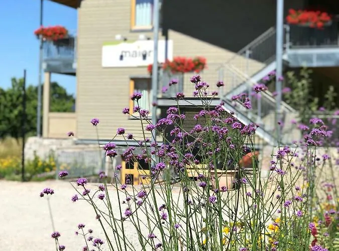 Wein Bleibe Baden-Baden
